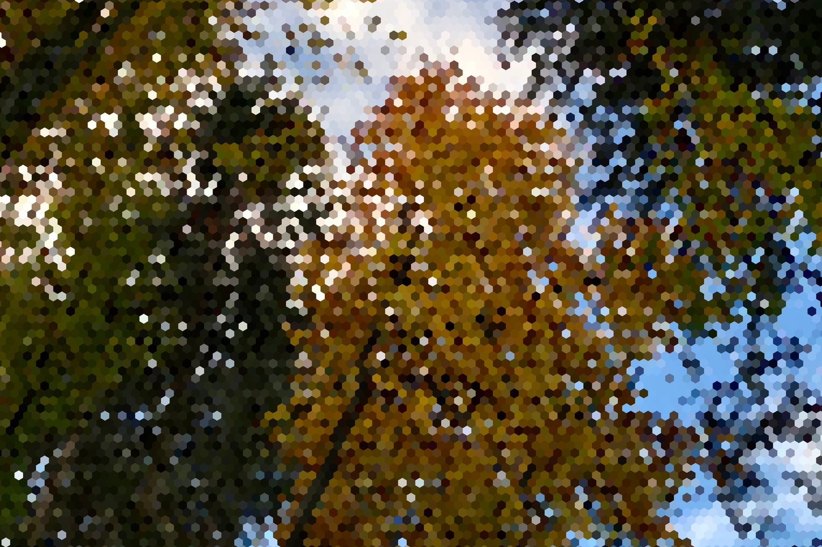 Virtual Soundscapes